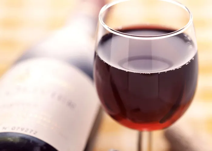 Ibis Luxembourg Sud Hotel 3*