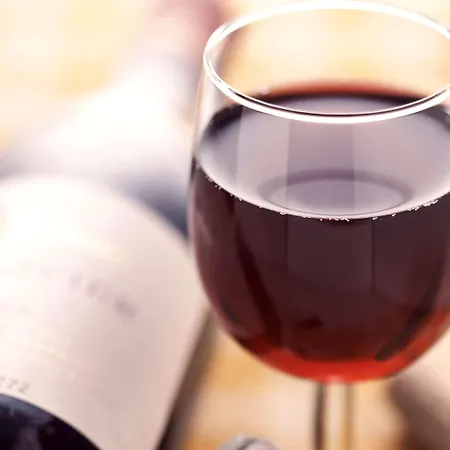 Ibis Luxembourg Sud Hotel 3*